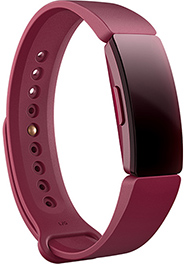 fitbit inspire hr extra large band