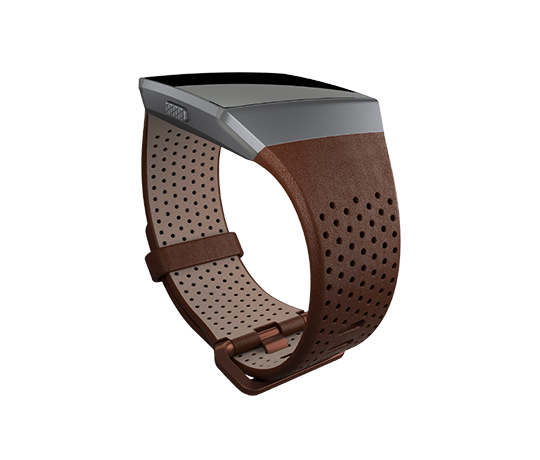 fitbit icon bands