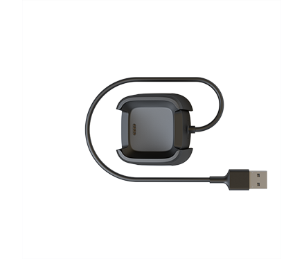 fitbit versa charger in store