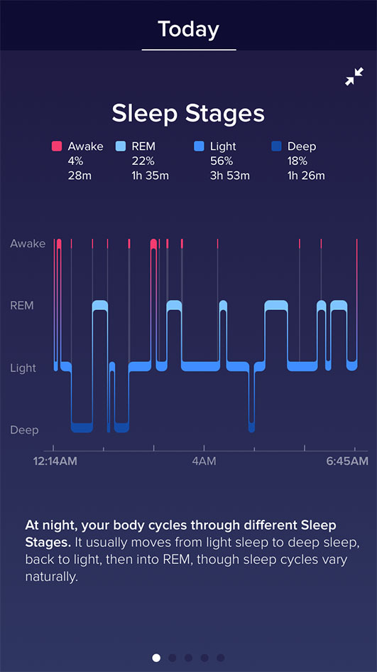 sleep stages